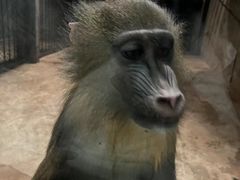 -沈阳森林动物园