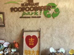 -大象粑粑造纸公园