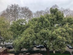 景观位-杭州香格里拉·香宫中餐厅