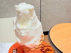 -野人先生现做冰淇淋(北京环宇荟店)