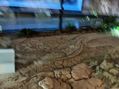 -抱璞文化展示中心