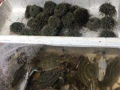 -济南海鲜大市场