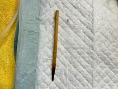 -创凡宠物医院·骨专科  猫科中心(西乡分院)