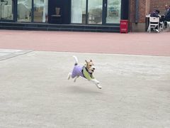 -小意思咖啡店(草桥店)