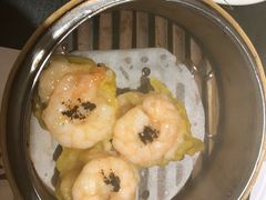 -糖朝(尖沙咀店)