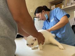 -宠颐生宠物医院·骨外科·犬猫全科诊疗中心(池州店)