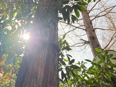 -兰溪青年公园