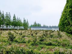 -前小桔亲子创意农场·草莓采摘·露营烧烤