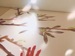 -上海宝华万豪酒店