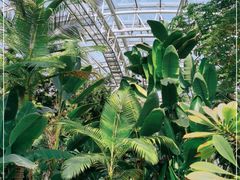 -北京植物园-展览温室
