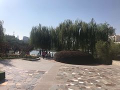 -雁滩公园