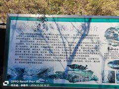 -九龙潭景区