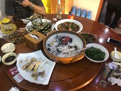 -全乐鱼馆·淳牌有机鱼直营店