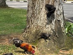 -第二外国语学院-韩国餐厅(朝阳路店)