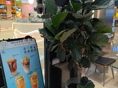 -Peet's 皮爷咖啡(陆家嘴中心店)