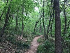 -南山风景名胜区