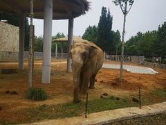 -石家庄市动物园