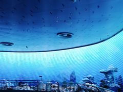 -芜湖新华联大白鲸海洋公园