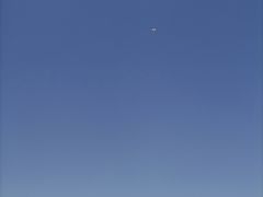 -东堤公园