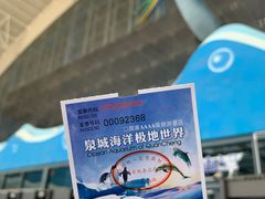 -泉城欧乐堡海洋极地世界