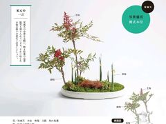 -今日陶艺(富力广场店)