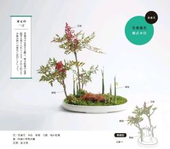 -今日陶艺(富力广场店)