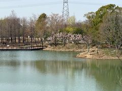 -梁鸿国家湿地公园