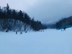 -亚布力新体委滑雪场