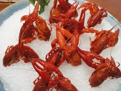 -高老庄新家宴(北斗星广场店)