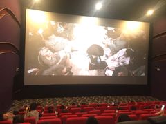 -武汉华夏国际影城(鲁广店)