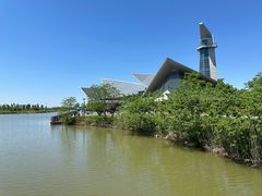 -盐城丹顶鹤湿地生态旅游区
