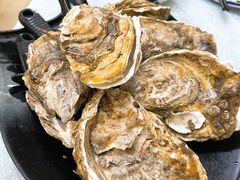 桑拿蠔-天宝食坊·啫啫煲大排档(西华路店)