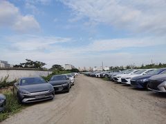 -比亚迪汽车(环球港店)