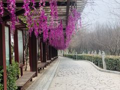 -西安汉城湖景区