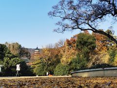 -灵谷景区