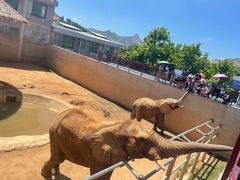 -西霞口神雕山野生动物世界