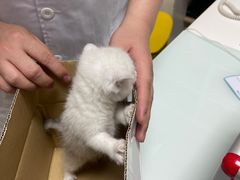 -宠福鑫康馨动物医院·骨科·眼科