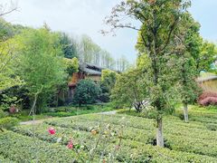 -杭州开元森泊度假乐园