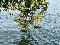 -浙江西子宾馆·瑶园咖啡厅