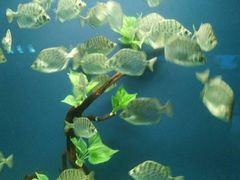 景点-水上乐园·欢乐世界