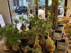 -本处·素食·融合料理(南油店)