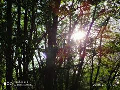 -渤海大学(松山校区)