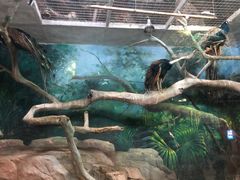 -福州罗源湾海洋世界旅游区