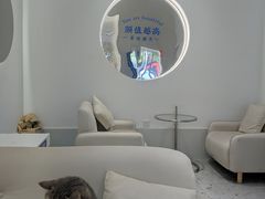 -天使咖啡(兴新街店)