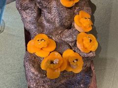 -鱼桥巷·美学川菜