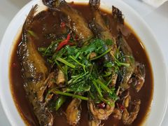-杨辉饭店
