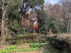 -WeLope紫金山探险公园