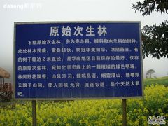 -广州市石门国家森林公园