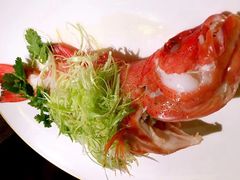 -唐阁(香港朗廷酒店)
