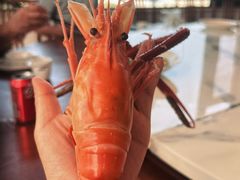 阳澄湖一号大虾-品鲜村农家菜·阳澄湖大闸蟹(总店)